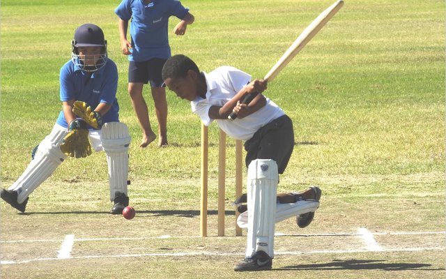 Aldonay Alexander van Die Bron besig om te kolf